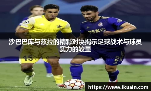 新利体育官网