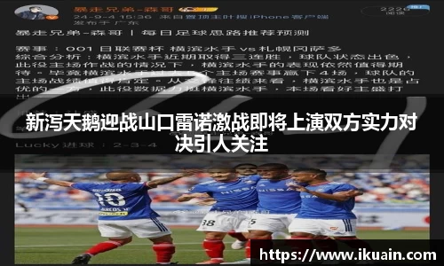 新利体育